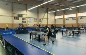 [ORGANISATION CRITÉRIUM FÉDÉRAL] 🏓